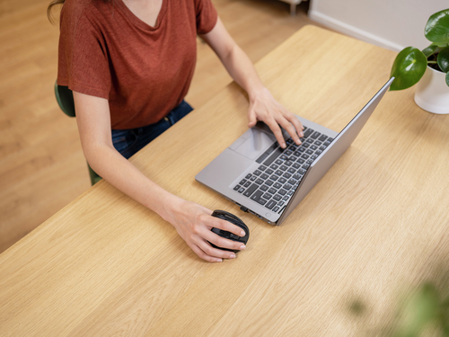 Icecat Gallery Image