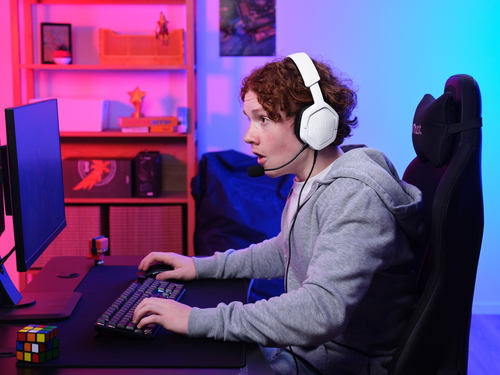 Icecat Gallery Image