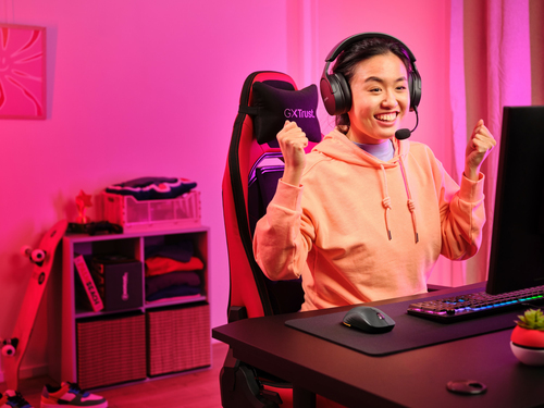 Icecat Gallery Image