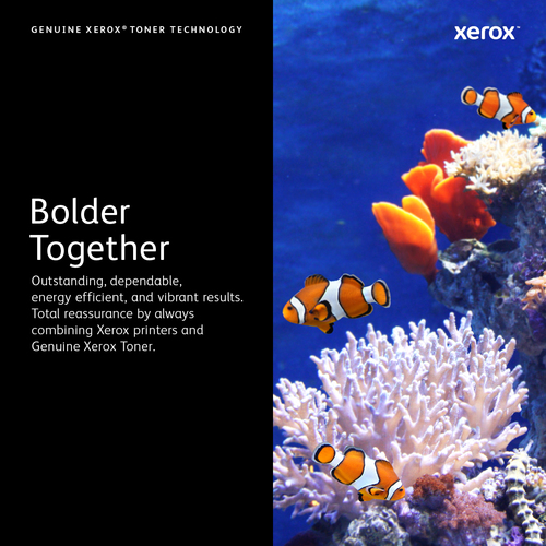 Icecat Gallery Image