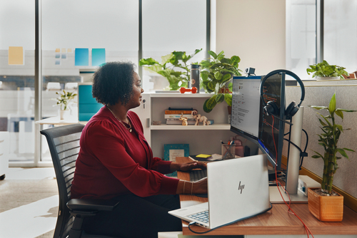 Icecat Gallery Image