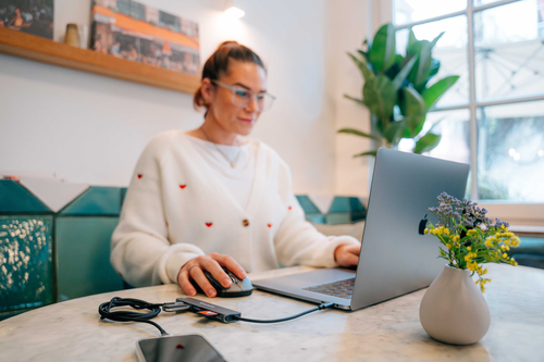 Icecat Gallery Image