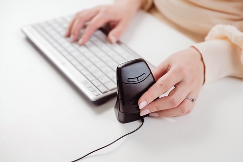 Icecat Gallery Image