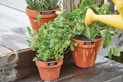 Icecat Gallery Image