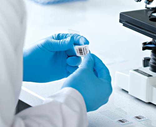 Icecat Gallery Image