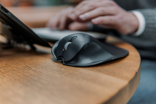 Icecat Gallery Image