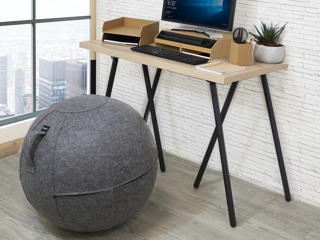 UNILUX 400165093 UNILUX Ergo Sphere seat ball