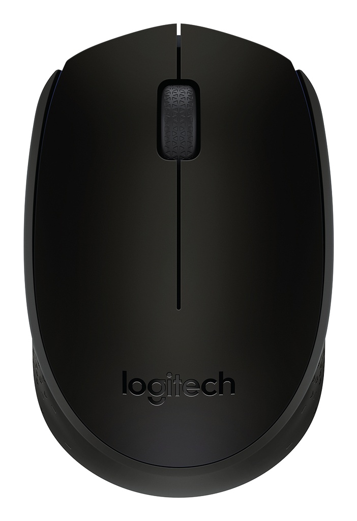 Logitech M170
