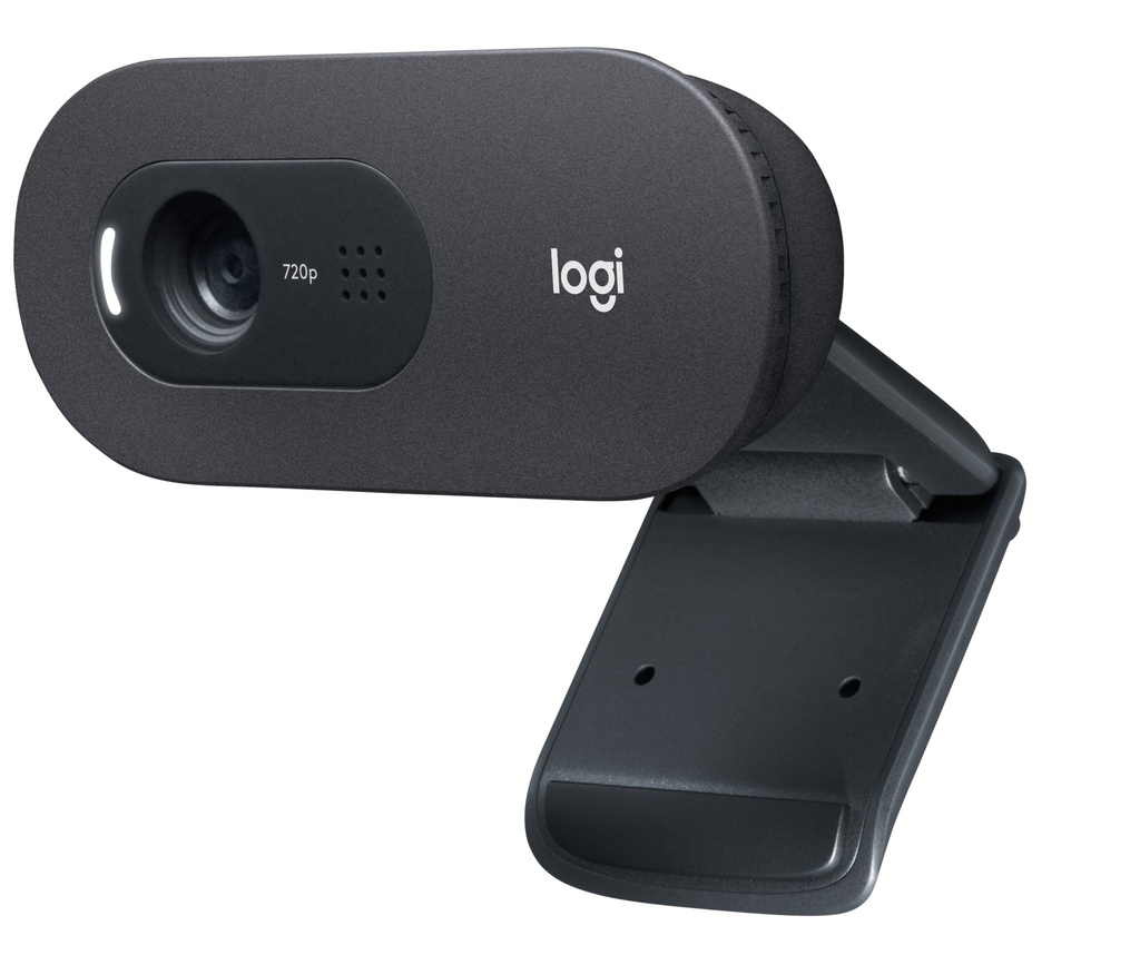 [410596440168] Logitech C505 HD Webcam