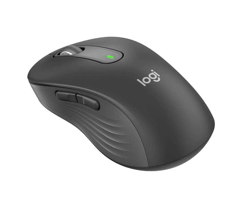 [410596440300] Logitech Signature M650 L