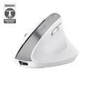 Trust Bayo+ muis Kantoor Rechtshandig RF-draadloos + Bluetooth Optisch 2400 DPI