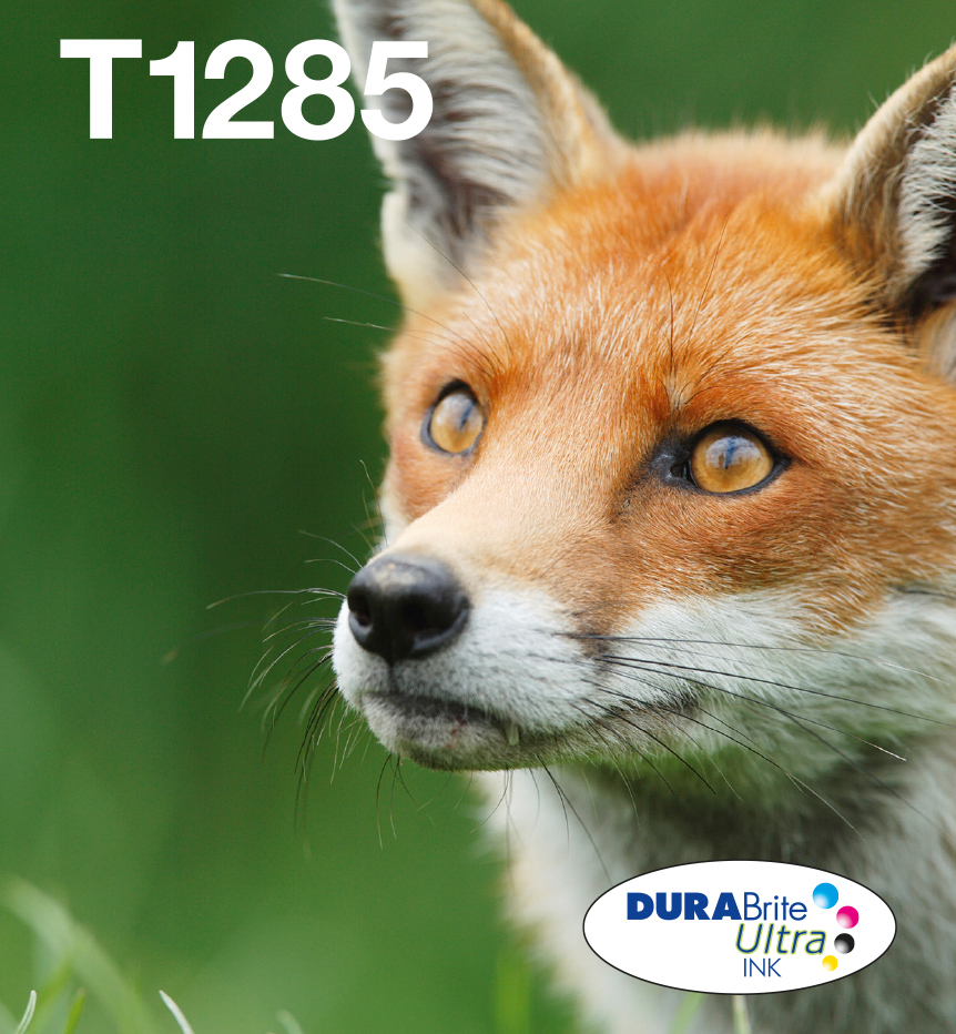 Epson Fox Multipack 4-colours T128 EasyMail