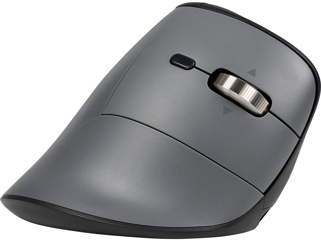 BAKKER ELKHUIZEN BNEFFP3MVM BAKKER Fast Forward mouse