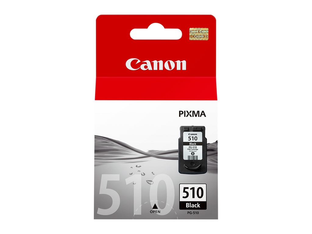 [170008440433] Canon 2970B001 inktcartridge 1 stuk(s) Origineel Foto zwart