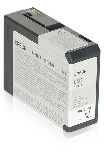 [170015440482] Epson inktpatroon Light Light Black T580900