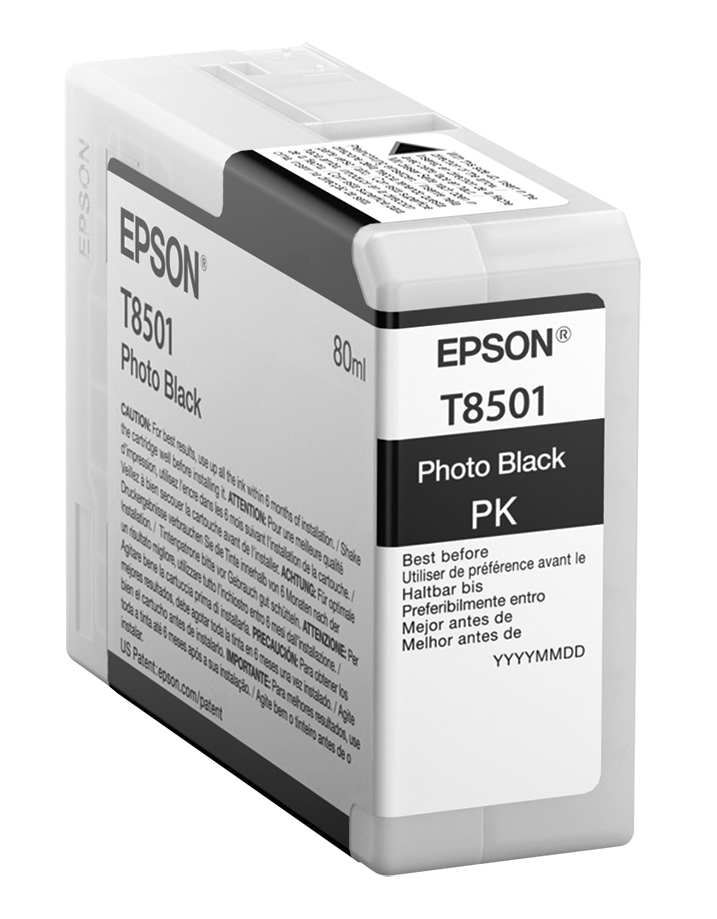 [170015441001] Epson Singlepack Photo Black T850100