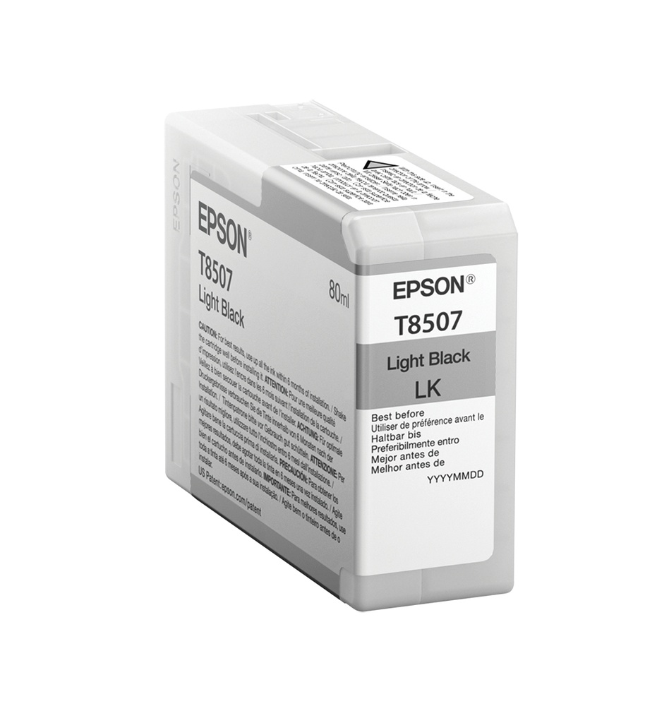 [170015441007] Epson Singlepack Light Black T850700