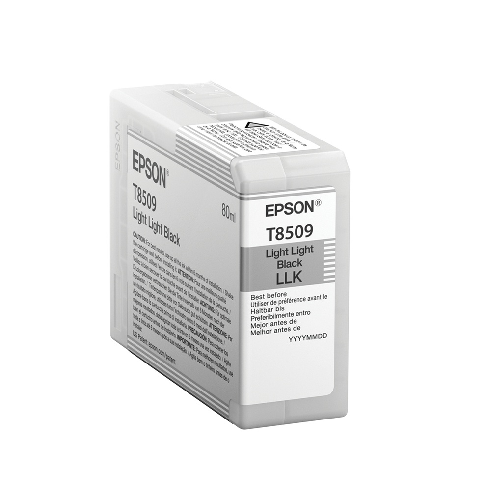 [170015441009] Epson Singlepack Light Light Black T850900
