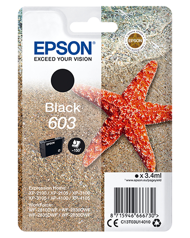 [170015441529] Epson Singlepack Black 603 Ink