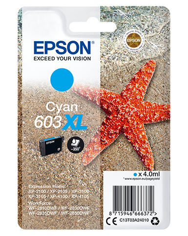 [170015441536] Epson Singlepack Cyan 603XL Ink