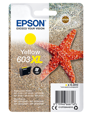 [170015441538] Epson Singlepack Yellow 603XL Ink